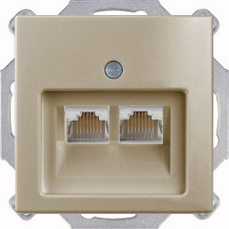 Розетка компьютерная Jung RJ-45 2 выхода с лицевой панелью ABB Basic 55 (шампань) Розетка компьютерная Jung RJ-45 2 выхода с лицевой панелью ABB Basic 55 (шампань)
