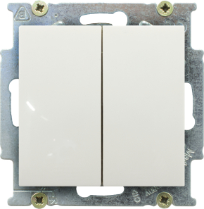 Выключатель двухклавишный ABB Basic 55 (шале-белый) Выключатель двухклавишный ABB Basic 55 (шале-белый)